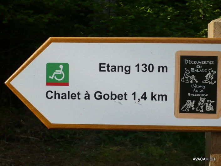 sensibilisation à l'étang de la Bressonne