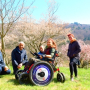 un fauteuil roulant adapté à la visite de l'arboretum
